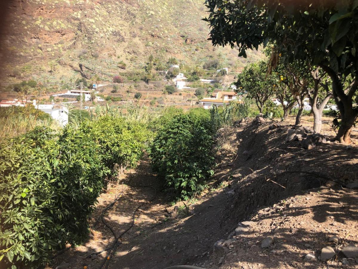 Casa Camino Tamadaba II Apartman Agaete  Kültér fotó